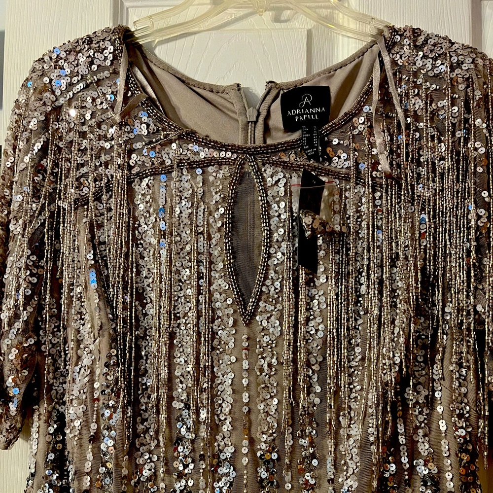 NWT Adrianna Papell silver gown size 12